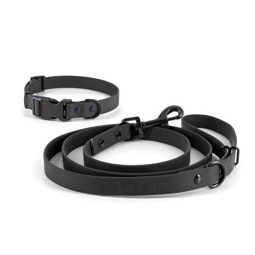 Sports Leash & Collar Set - Black