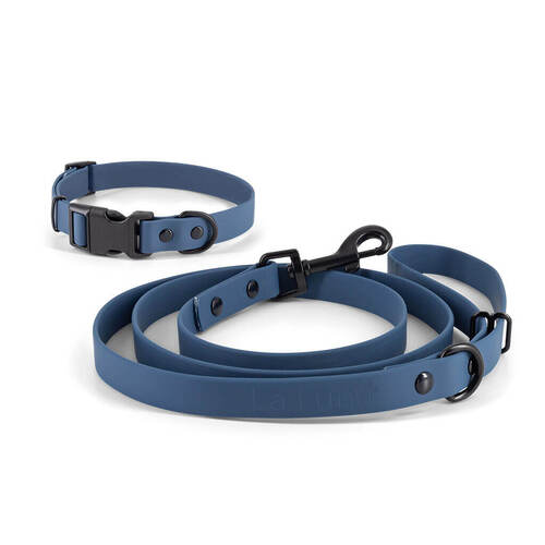 Sports Leash & Collar Set - Navy Blue