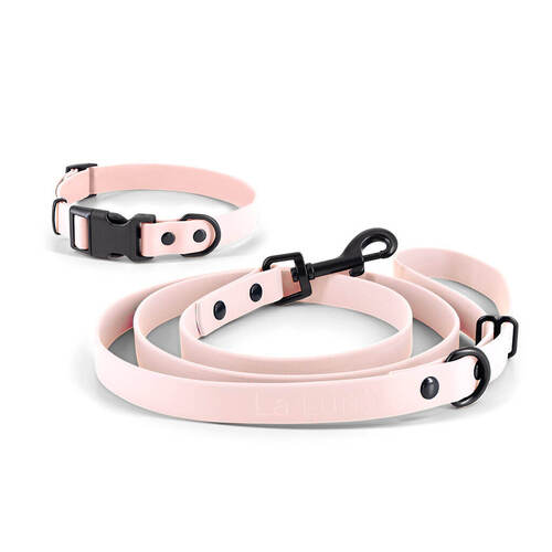 Sports Leash & Collar Set - Pink